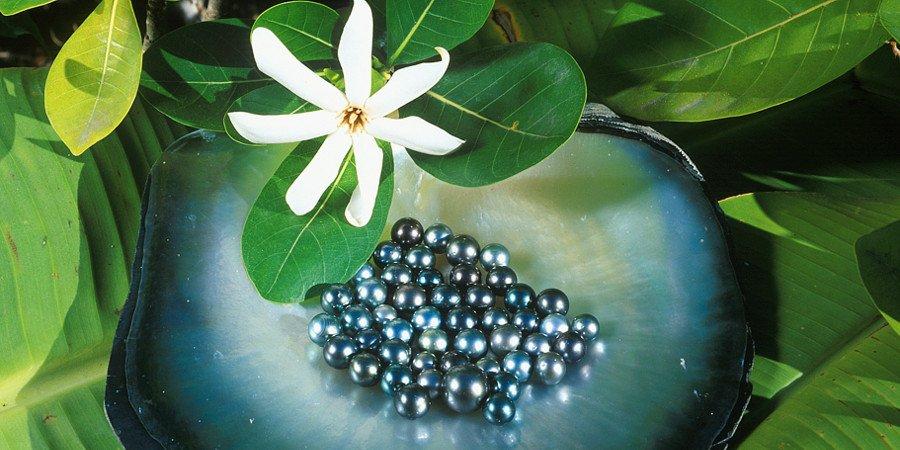 Le perle nere: meraviglie della Polinesia